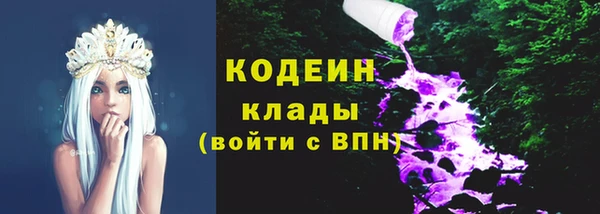 тгк Арсеньев