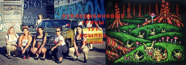 герыч Аркадак