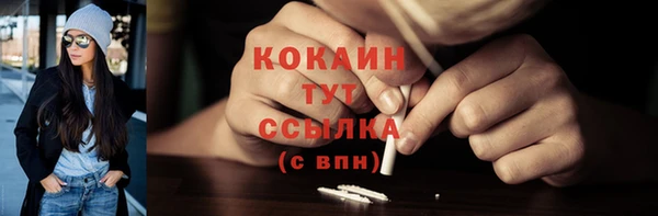 тгк Арсеньев