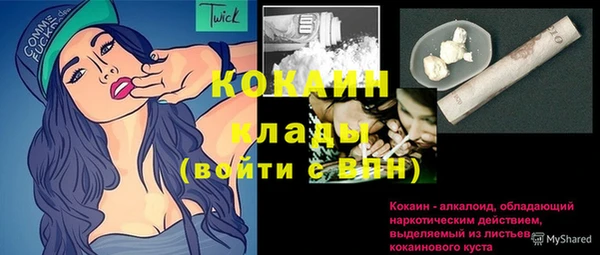тгк Арсеньев